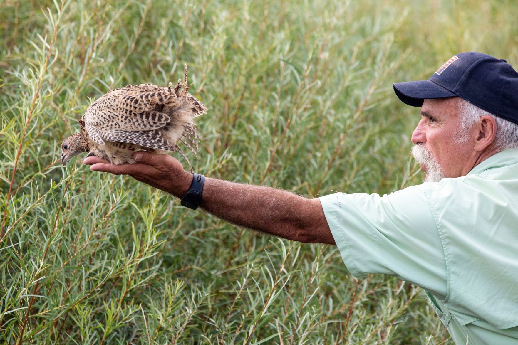 Boys & Girls Ranch releases pheasants into the wild